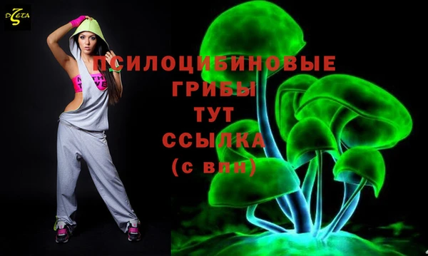 соль курить ск Верхний Тагил