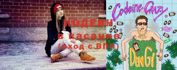 молекула духа Бородино