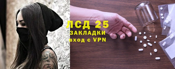 молекула духа Бородино