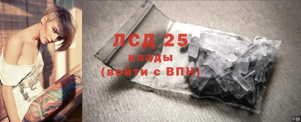 молекула духа Бородино