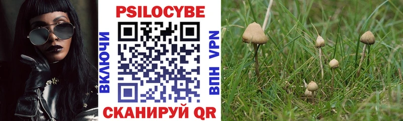 Галлюциногенные грибы MAGIC MUSHROOMS  как найти наркотики  Каменка 